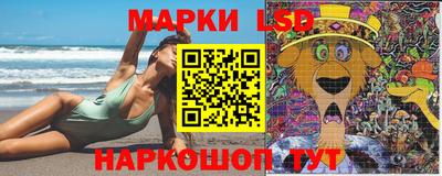 дмт Будённовск