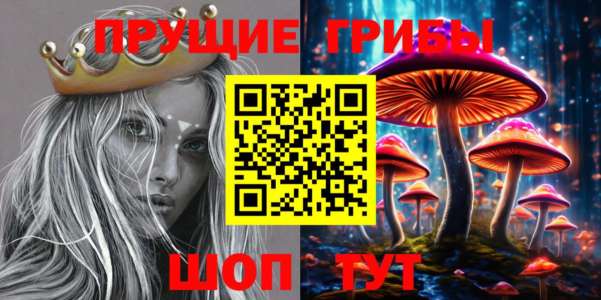 Псилоцибиновые грибы Cubensis Усть-Лабинск