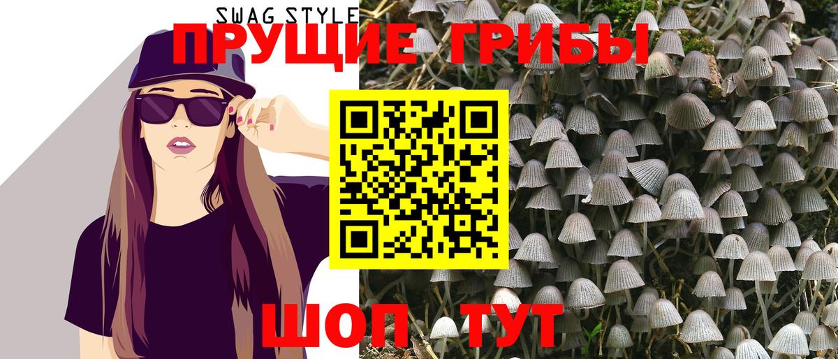 Усть-Лабинск  Псилоцибиновые грибы Cubensis  Вход с VPN 
